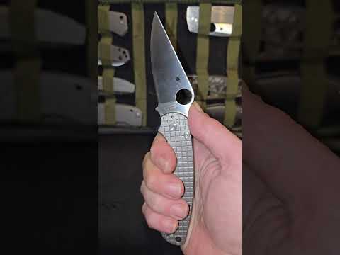 Spyderco Para Military 2 mimeo      