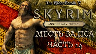 МЕСТЬ ЗА ПСА - SKYRIM ANNIVERSARY EDITION /RTX 3080/ Часть 14 #skyrim