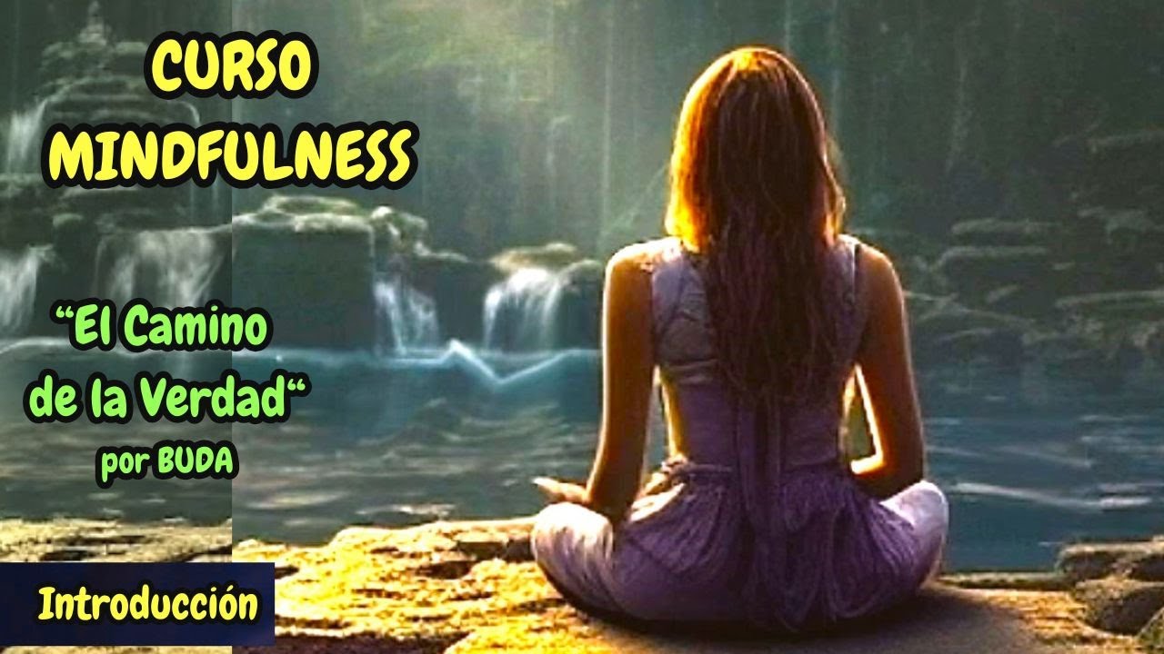Curso de Mindfulness: Dhammapada (El Camino de la Verdad). - YouTube