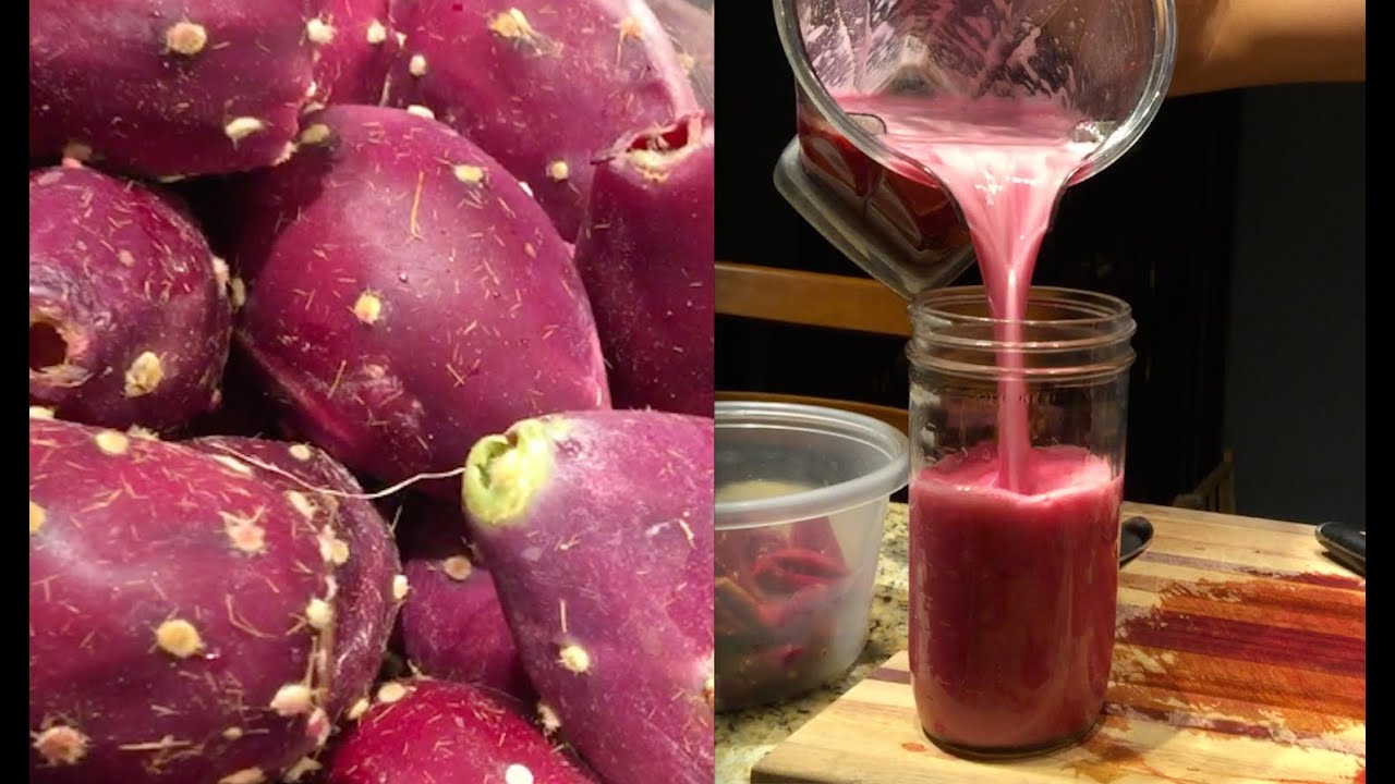 Is This The World's Greatest Smoothie? Garden Fresh!