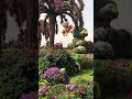 Парк цветов в дубай ОАЭ