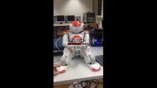 Task 1: Getting started with Nao Robot,  Group J