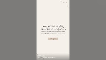 القارئ عبدالرحمن مسعد ﴿يا أَيُّهَا الَّذينَ آمَنُوا اركَعوا وَاسجُدوا …… ﴾ [الحج: ٧٧]