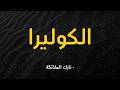 قصيدة الكوليرا سكن الليل أصغ إلى وقع صدى الأنات نازك الملائكة