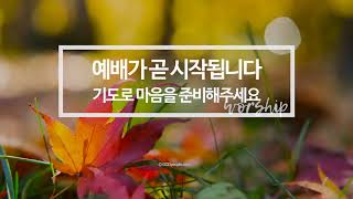 [무료저작권 No Copyright - 예배인트로 영상] 기독교 | 바탕화면 | 가을 | 낙엽 | 후지X-T30