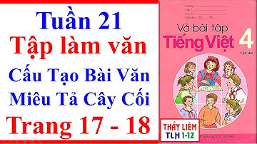 Vở Bài Tập Tiếng Việt Lớp 4 | Tuần 21 | Tập Làm Văn | Cấu Tạo Bài Văn Miêu Tả Cây Cối | Trang 17 18