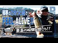 [青木大介]D Channel #014 極寒のさめうら湖で最高の時間を感じる。