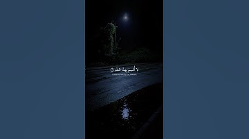 لا أُقسِمُ بِهذَا البَلَدِ | محمد صديق المنشاوي | سورة البلد