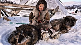 north nomads toddlers eat raw meat and 6 y.o kids catch reindeer