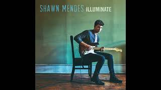Download Lagu Shawn Mendes - Mercy (slowed + reverb) MP3