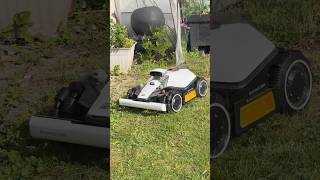 Mammotion Luba Mini2 AWD 1000 Probleme nach dem Software Update!#mammotion #luba #awd #rasenmäher