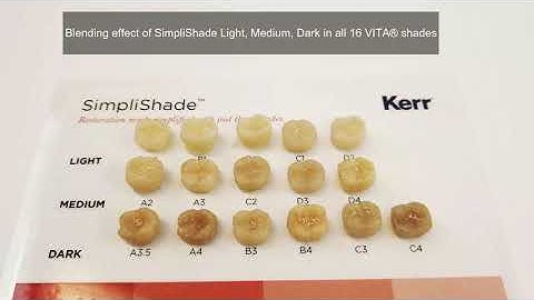 SimpliShade™ Class I Restoration Demo Video (Time Lapsed)