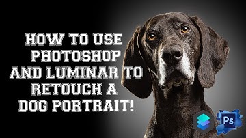 How to use Photoshop and Luminar to make a pet portrait pop!