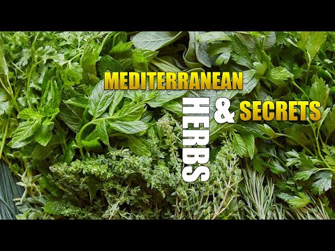 The Fundamentals of the Mediterranean Diet - cuisine! - herbs #3