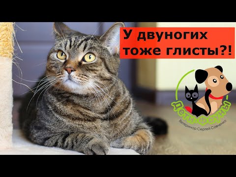 Как понять, что есть глисты у человека? Основные симптомы. Как снизить риски заражения глистами