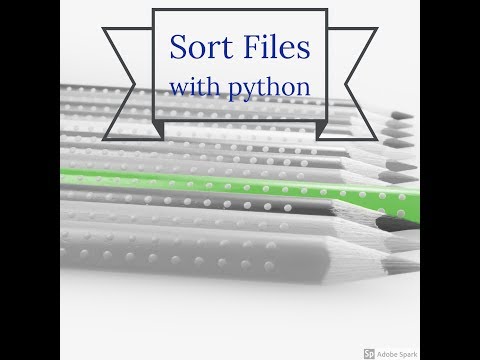 sort files with python script