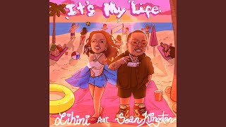 Download Lagu Its My Life (feat. Sean Kingston)