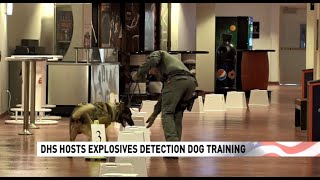 DHS Hosts Explosives Detection Dog Training