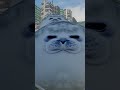 РАДИАЦИЯ РАСПЛОДИЛА КОТИКОВ — ТЕПЕРЬ ОНИ ОГРОМНЫЕ😱 #GMOD #SBOX #SHORTS