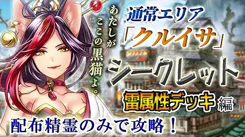 黒猫 クルイサ シークレット