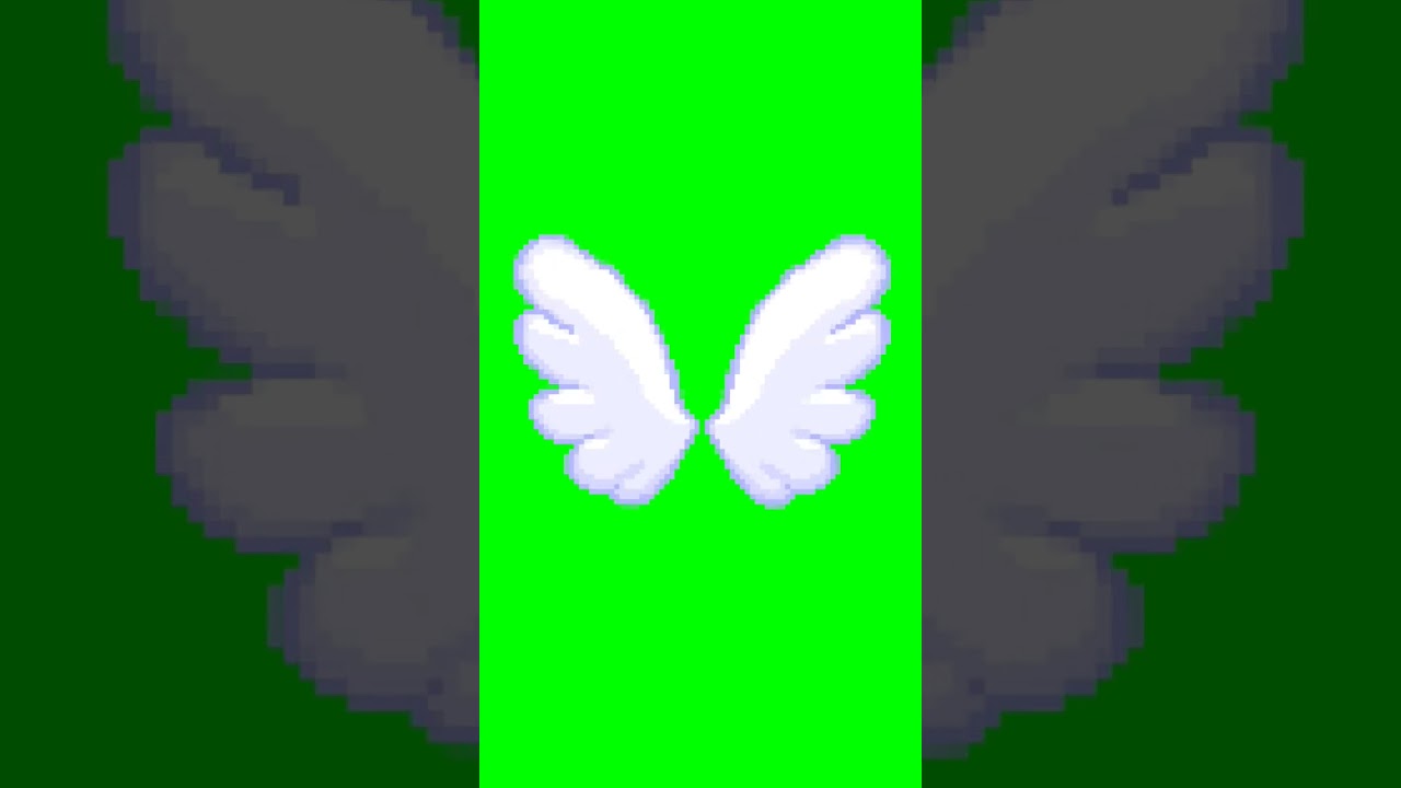 Green Screen Animated Wings | Wings 028 | 