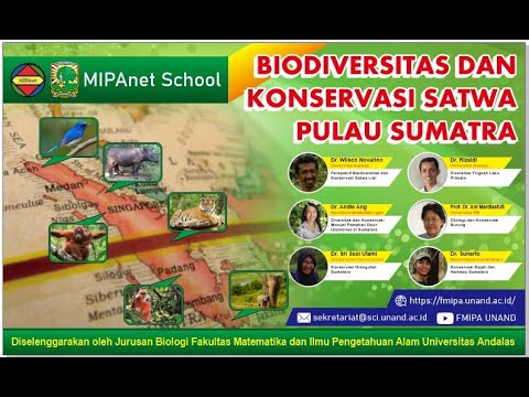 MIPANET SCHOOL Event : Opening Ceremony