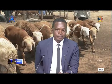 FÊTE DE TABASKI - Flambée des prix de moutons sur les marchés