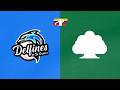LMBP - Delfines de la Guaira vs Samanes de Aragua - Liga Mayor de Beisbol Profesional Venezuela