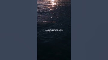(ويقول الأنسان)القارئ ريان المحيسني 😴😴