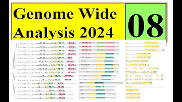 Domain, gene structure, motif analysis Genome wide study 2024 Part 08