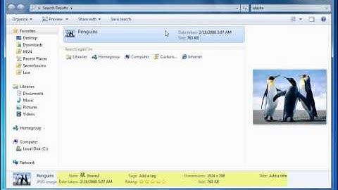 Windows Search.wmv