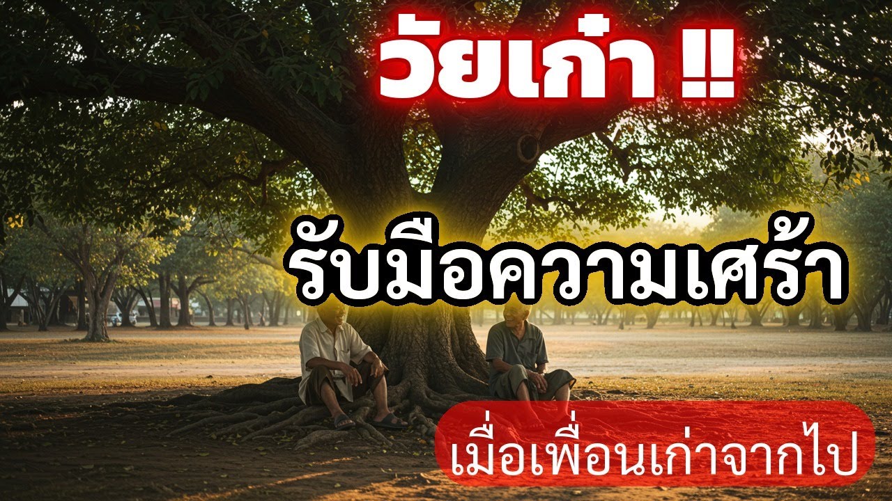 ธรรมะก่อนนอน: รับมือความเศร้า เมื่อเพื่อนเก่าจากไป | วิธีเยียวยาใจด้วยการยอมรับและระลึกถึง