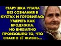 😱 Старушка упала без сознания в кустах и готовилась умереть как бродяжка. Но внезапно произошло то…