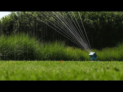 Wideo: Pielęgnacja Trawnika: Koszenie, Podlewanie, Karmienie, Czyszczenie, Pozostawianie Na Zimno