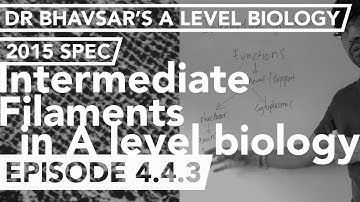 Intermediate filaments: structure and functions