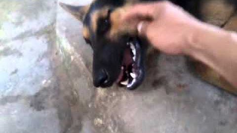 video-2013-04-19-09-52-40