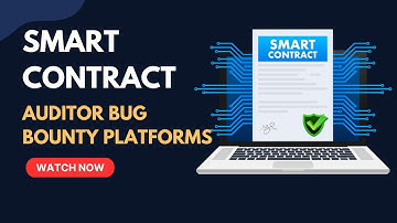 Smart Contract Bug Bounties Explained: Top Platforms & How Auditors Make $100k+