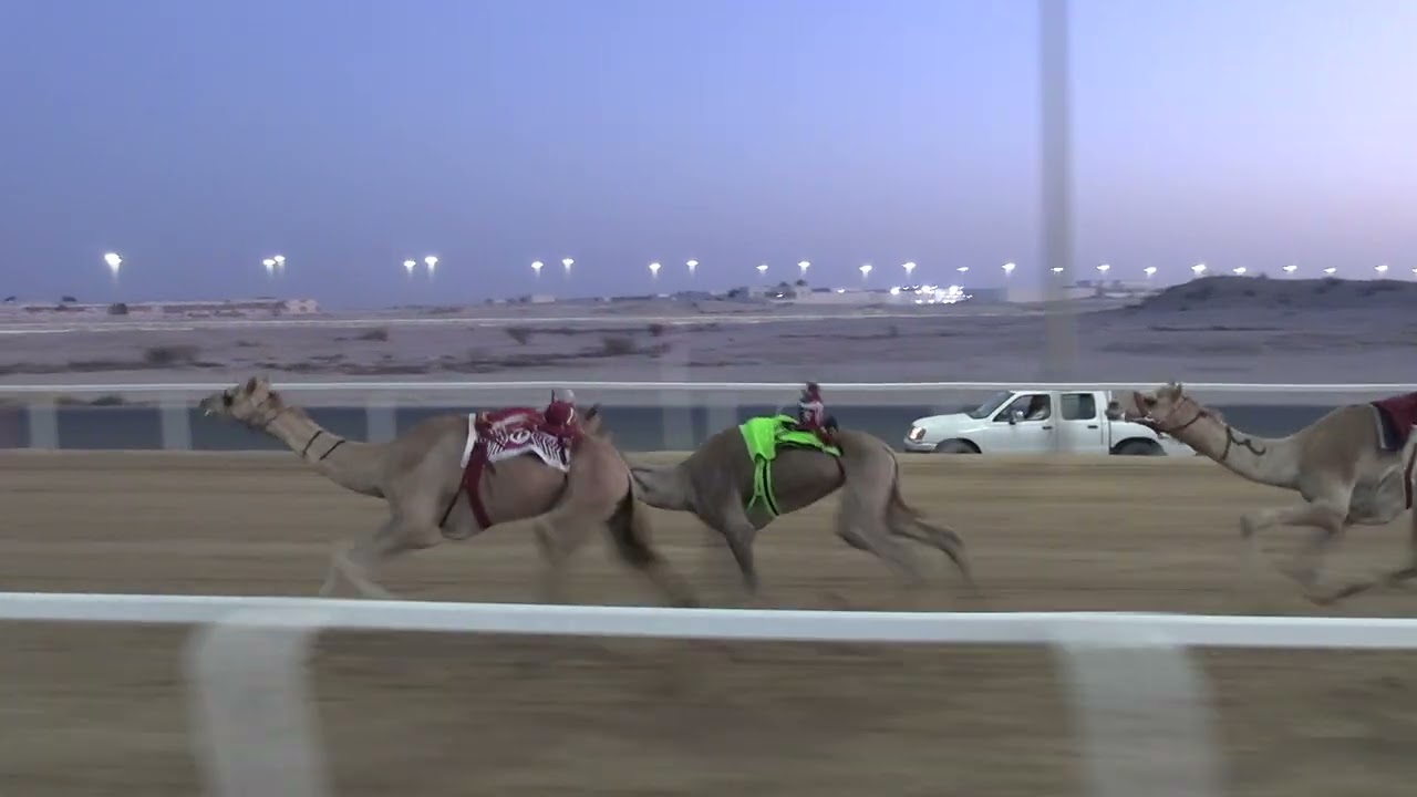 ش1كبار 4ك وسام ل محمد سعيد القريوي - 6:05:01 - 29/4/2025