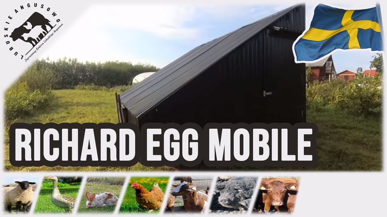 Lubuskie Angusowo - S3 E30 - Szwecja - Richard egg mobile