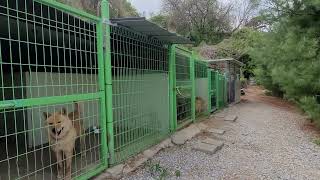 너희들은 어찌하다 내게로 왔니??