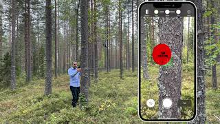 Arboreal Forest Tutorial screenshot 4