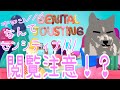 【閲覧注意】Genital Jousting