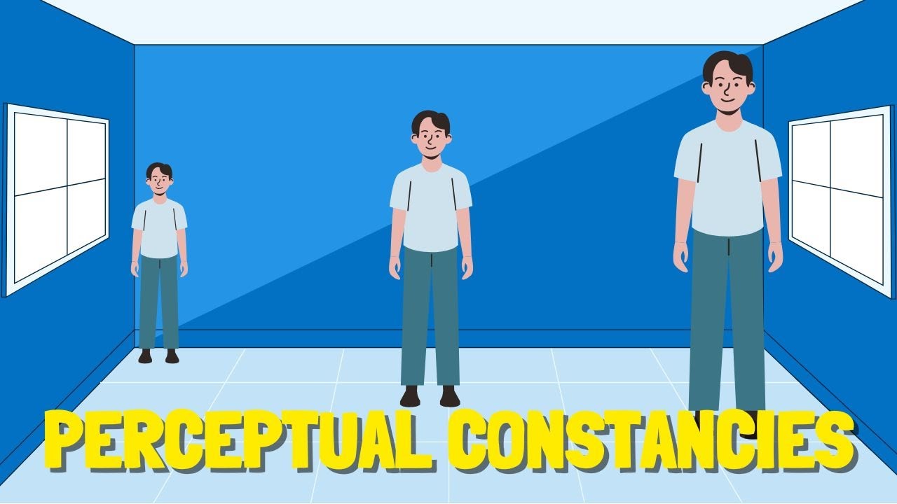 Магия перцептивного постоянства: как мы понимаем меняющийся мир. Бесплатная загрузка интеллект-ка...