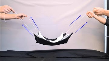 SmartStructuresLab2015/Iassenev/Knight