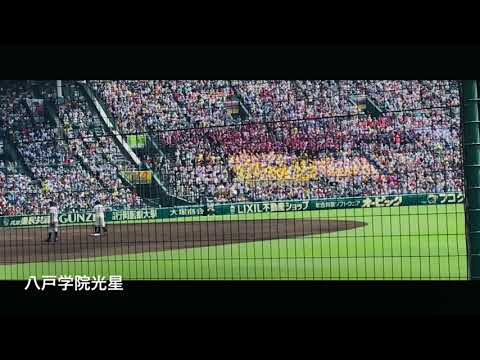 八戸学院光星『フェスティーボ』