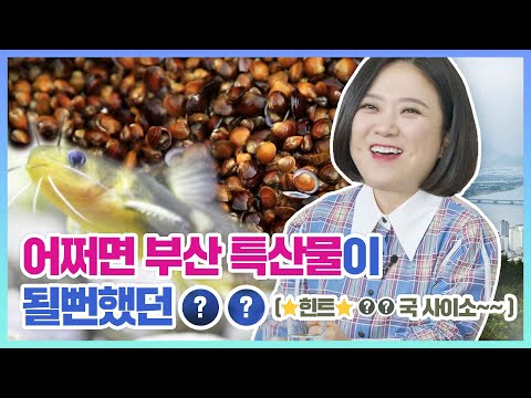 어쩌면 부산의 특산물이 될 뻔했던 OO!! I 김숙 미션임파水블