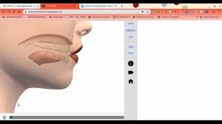 L - How to Make L Sound