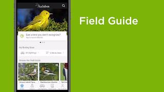 How to use the Audubon Bird Guide app screenshot 2