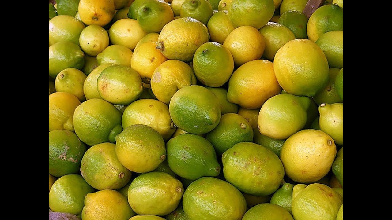 La Cura de Limones: Cálculos Renales-The Cure for Lemons: Kidney Stones - YouTube