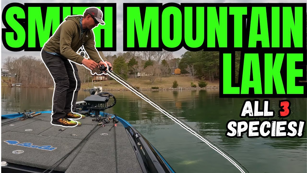 I Caught ALL THREE Species of Bass Fishing on Smith Mountain Lake!